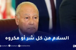 أبو الغيط يعزي الجزائر في ضحايا الحرائق