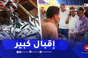 جيجل: بعد أن وصل عتبة 800 دينار أسعار السردين تتراجع وإقبال كبير للمواطنين