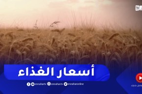 مؤشر أسعار الغذاء عند أدنى مستوى منذ جانفي 2022