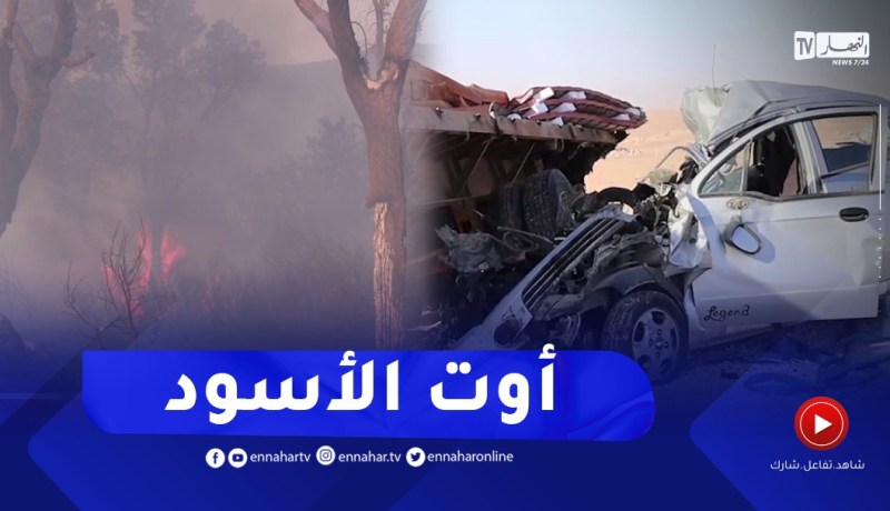 شهر أوت الأسود..حصيلة قياسية في عدد ضـ. حايا الـ .حوادث والحرائق