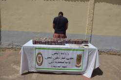 إحباط محاولات إدخال 167 كيلوغرام من الكيف المعالج بالحدود مع المغرب