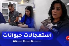 مصلحة استعجالات تعمل 24/24 سا للحيوانات