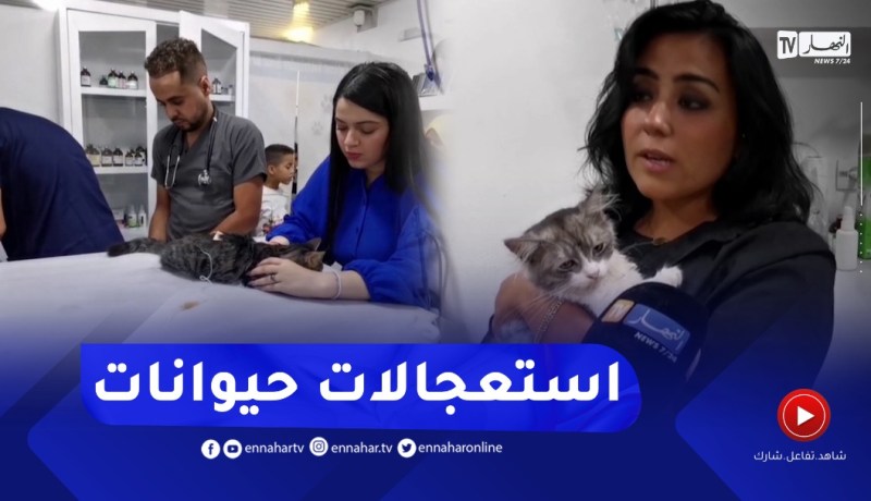 مصلحة استعجالات تعمل 24/24 سا للحيوانات