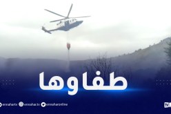 البويرة.. إخماد حريق بأغبالو
