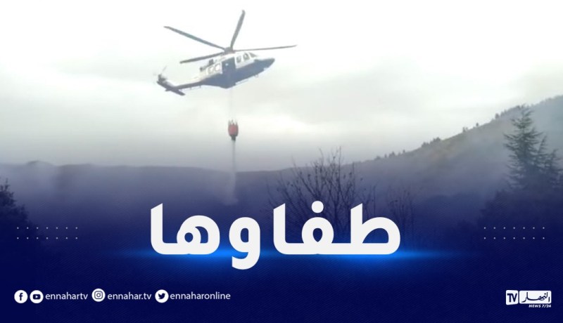 البويرة.. إخماد حريق بأغبالو