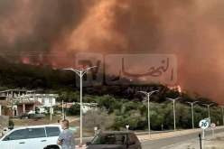 حرائق الغابات تتسبب في انقطاع الأنترنيت.. اتصالات الجزائر توضح