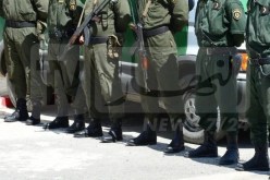 الدرك الوطني: توقيف 13 مشتبها بهم في افتعال حرائق الغابات الآخيرة