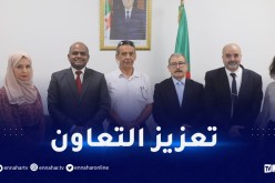 محادثات جزائرية هندية حول آفاق الإستثمار في مجال الطاقات المتجددة