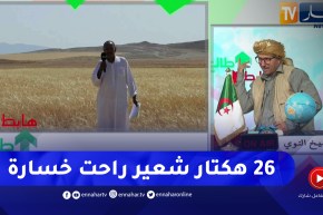 طالع هابط: 26 هكتار من الشعير تتعرض للتلف بسبب نزاع وصاحب الأرض يطالب السلطات بالتدخل وإنصافه