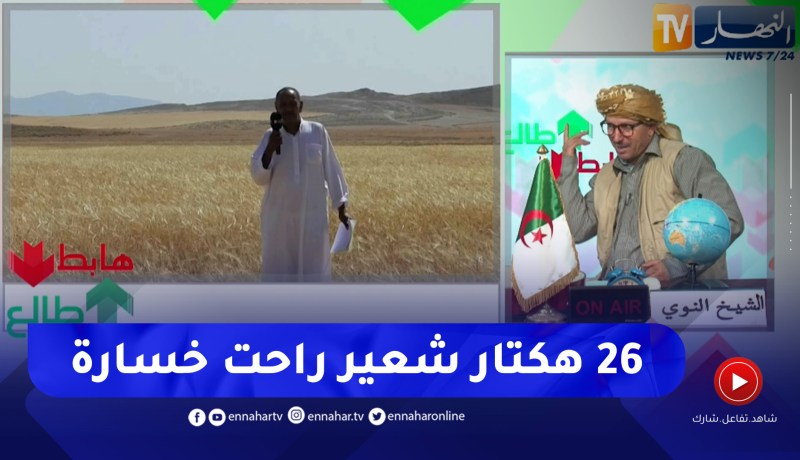 طالع هابط: 26 هكتار من الشعير تتعرض للتلف بسبب نزاع وصاحب الأرض يطالب السلطات بالتدخل وإنصافه