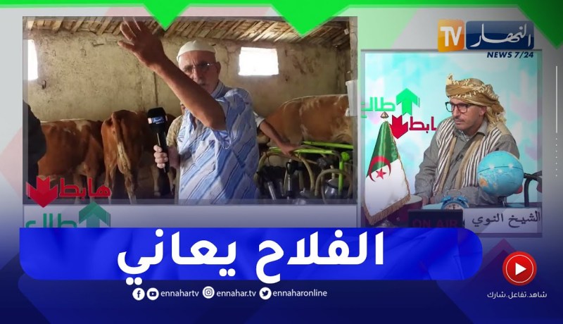 طالع هابط: الشيخ النوي.. شاهد معاناة الفلاح ببلدية بن زياد في قسنطينة