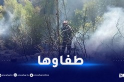 إخماد حريق غابة في المدية