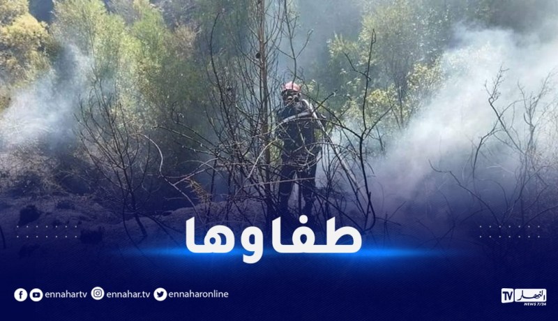 إخماد حريق غابة في المدية