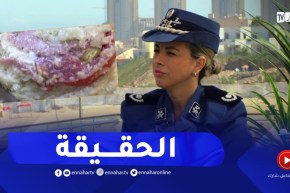 نهاركم جديد/ محافظ الشرطة تكشف كيف تم مداهمة مطعم بيع البورغر بالديدان