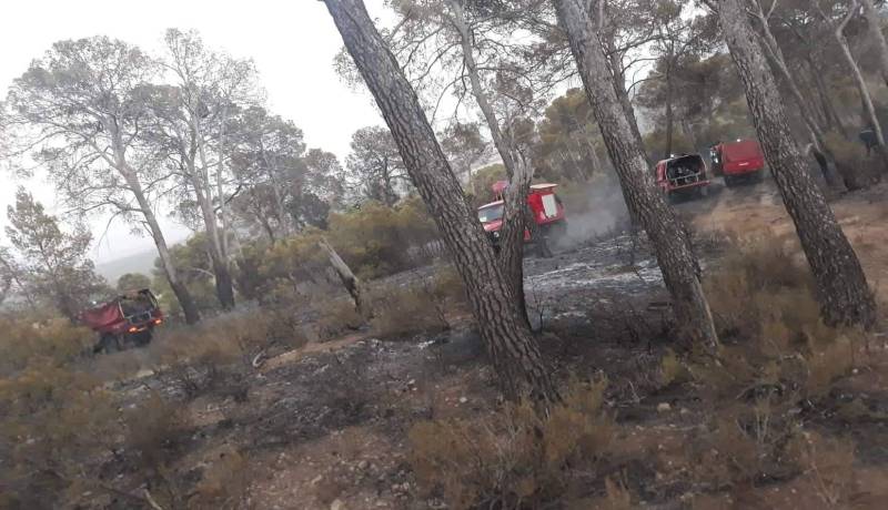 تبسة.. إخماد حريق بغابة جبل المصيدة