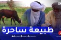برج باجي مختار : ريف تيمياوين..عندما تلتقي الطبيعة الخضراء بالكثبان الرملية