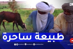 برج باجي مختار : ريف تيمياوين..عندما تلتقي الطبيعة الخضراء بالكثبان الرملية