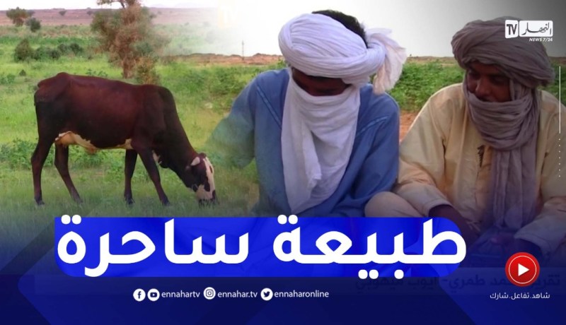 برج باجي مختار : ريف تيمياوين..عندما تلتقي الطبيعة الخضراء بالكثبان الرملية