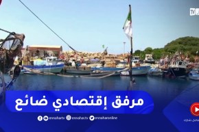 ميناء الزيامة المنصورية..مرفق إقتصادي ضائع بين مشاكل المهنيين والتوسع الإستثماري