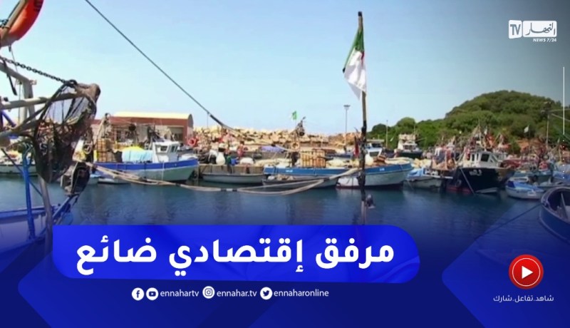 ميناء الزيامة المنصورية..مرفق إقتصادي ضائع بين مشاكل المهنيين والتوسع الإستثماري