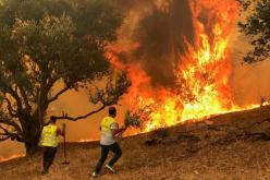 الصين ومصر والأردن يعزون الجزائر في ضحايا حرائق الغابات