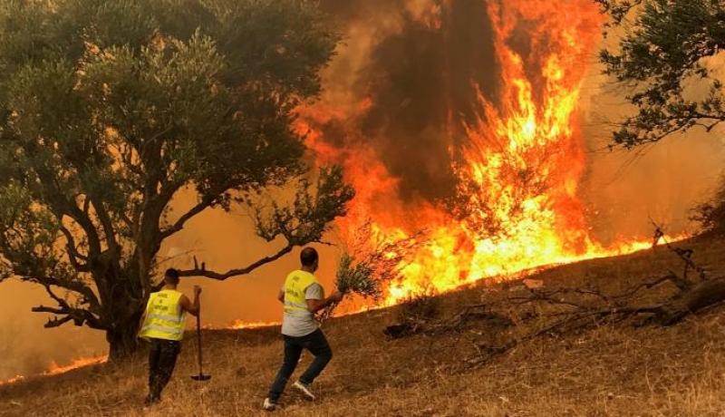 بجاية.. هذه الطرقات مغلقة بسبب الحرائق المندلعة