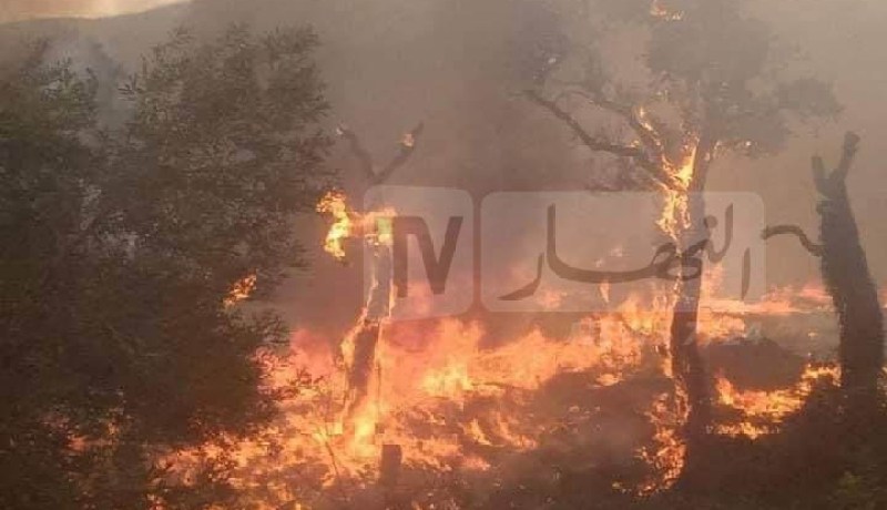 الطارف.. إرتفاع حصيلة ضحايا الحرائق إلى 30 وفاة