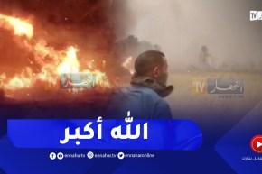 شاهد.. رياح قوية تزيد في التهاب الغابات بالطارف والمواطنون يرددون “الله أكبر