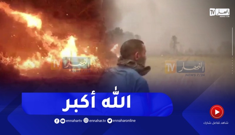 شاهد.. رياح قوية تزيد في التهاب الغابات بالطارف والمواطنون يرددون “الله أكبر