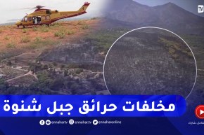 تيبازة: كاميرا النهار ترصد مشاهد حصرية من السماء لمخلفات حريق جبل شنوة