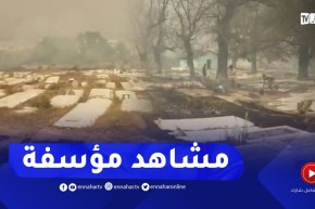مشاهد لمخلفات الحريق الذي نشب بمقبرة في الطارف