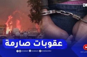 عدالة: هذه هي العقوبات التي تقع على المتورطين في حـ. رق الغابات