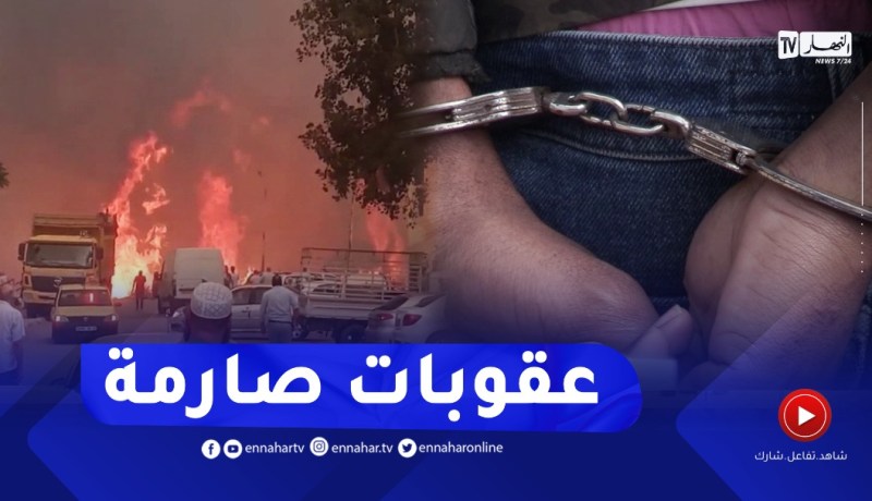عدالة: هذه هي العقوبات التي تقع على المتورطين في حـ. رق الغابات