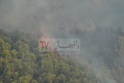 إخماد 87 حريق غابة بـ 14 ولاية