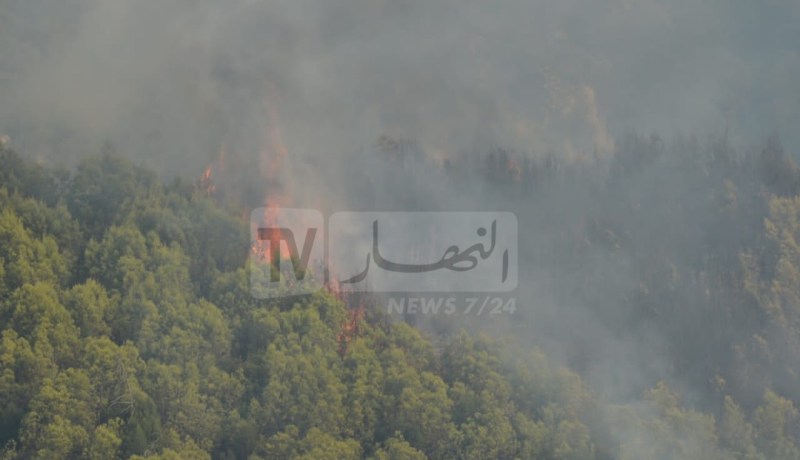 إخماد 87 حريق غابة بـ 14 ولاية