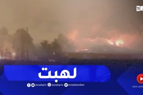 شاهد..حـرائق مهولة تشهدها ولاية الطارف
