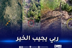 اخماد حريق إثر اشتعال 3 مواقد متباعدة بالشلف.. والحماية ترجح على أنه مفتعل