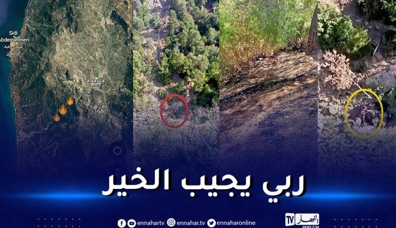 اخماد حريق إثر اشتعال 3 مواقد متباعدة بالشلف.. والحماية ترجح على أنه مفتعل