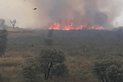 بومرداس: اندلاع حريق بغابة يسر