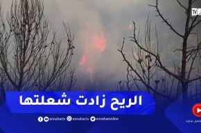 تيبازة: الحماية المدنية..الرياح كانت سبب في سرعة انتشار الحرائق