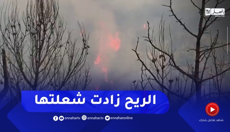 تيبازة: الحماية المدنية..الرياح كانت سبب في سرعة انتشار الحرائق