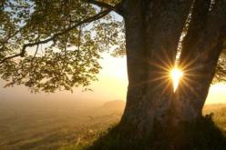 تخلص من الأفكار السلبية.. فالحياة في حقيقتها جميلة