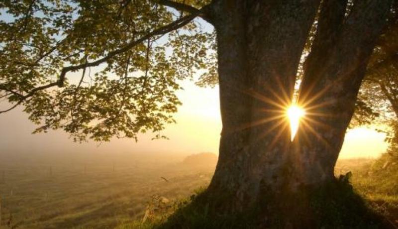 تخلص من الأفكار السلبية.. فالحياة في حقيقتها جميلة