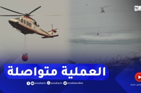 تيبازة: الحماية المدنية تستعين بحوامة لنقل المياه لإخماد الحرائق بجبل شنوة