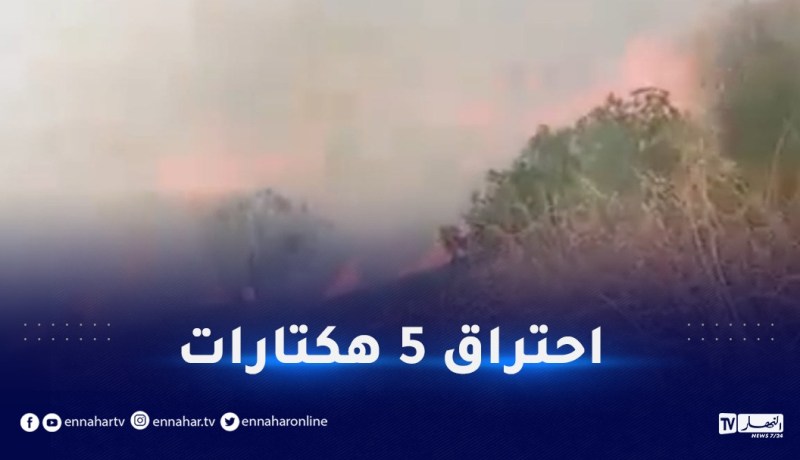 سطيف.. إخماد حريق غابي ببني موحلي
