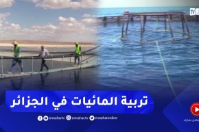 تربية المائيات.. مشاريع رائدة من التفريخ إلى الإنتاج المدمج في الفلاحة