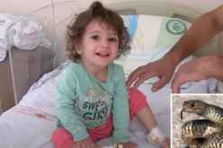 طفلة تركية تنتقم من أفعى لدغتها