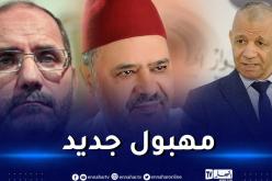عالم بلاط مغربي يُصاب بالجنون ويدعو للجهاد والزحف نحو تندوف!