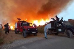 عملية الإخماد لا تزال جارية.. هذه المخلفات الأولية لحرائق شمال سطيف