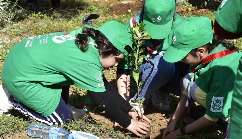 الوزير الأول: إطلاق حملة لغرس 60 مليون شجرة لإنعاش السد الأخضر